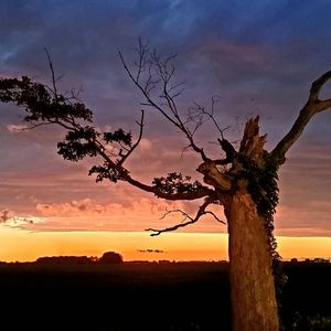 Meet your Posher, Corlina